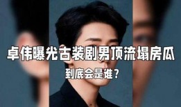 爆料男明星塌房视频大全,揭秘男明星塌房视频大全